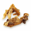 Tendons du cheval