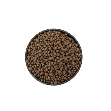Super Premium Quality Mini