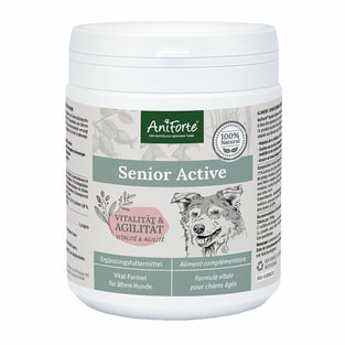 Senior Active
