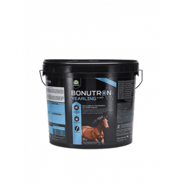 Bonutron Yearling 6-36m