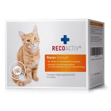 Tonic rénal pour chats