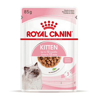 Kitten en sauce - sachet
