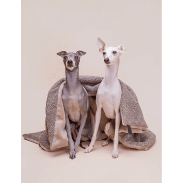 Couverture pour animaux Calm Eco Bouclé
