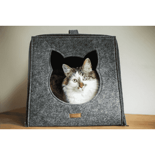 Cat Cube Hygge