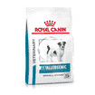 Anallergenic Small Dogs