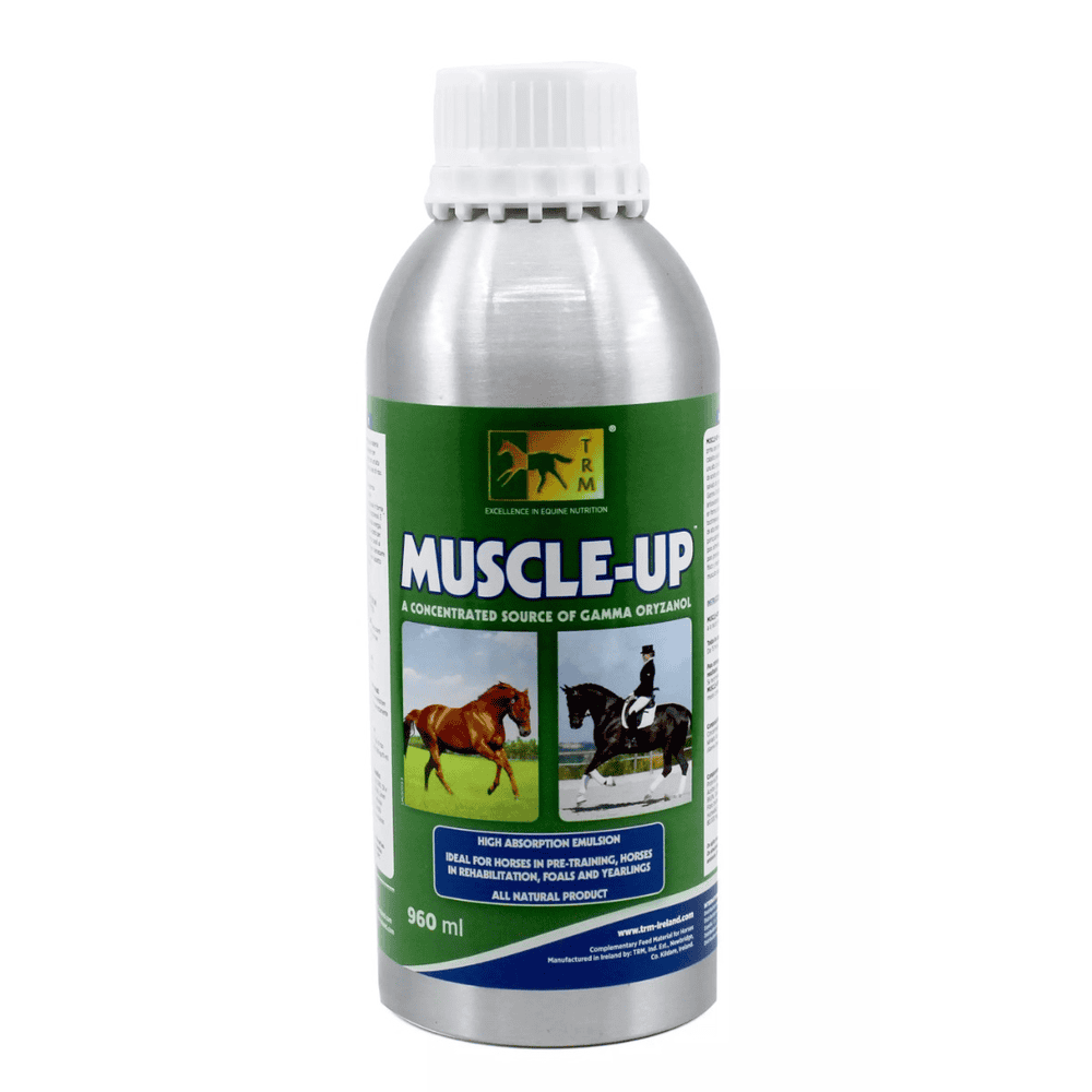 Muscle-up