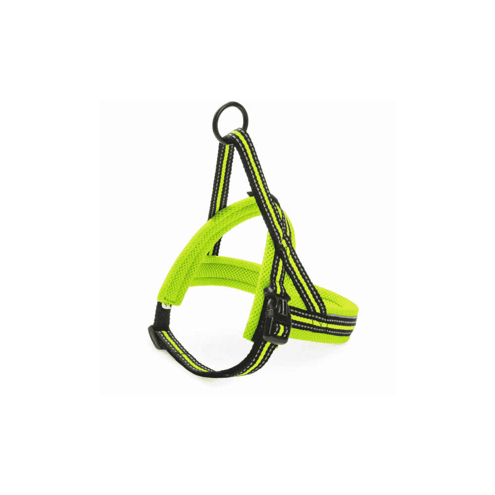 Geschirr Nordic Sport L