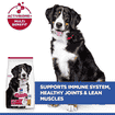 Canine Adult Large Breed Chicken
