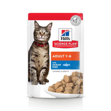 Feline Adult Ocean Fish - Frischebeutel