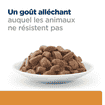 Feline k/d + j/d Kidney + Mobility - Sachet fraîcheur