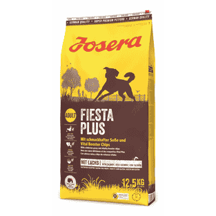 FiestaPlus