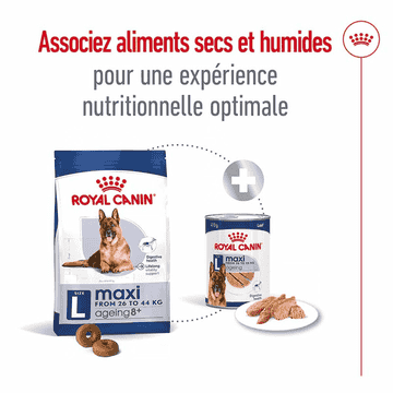 Maxi Adult Loaf - Boîte