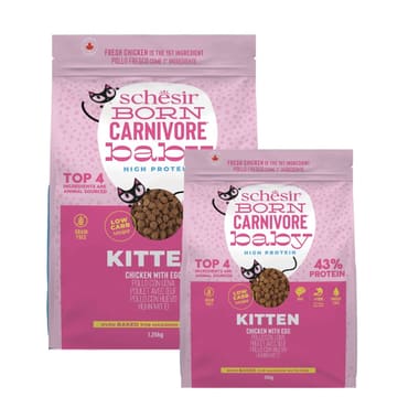 Born Carnivore Kitten Poulet & Œuf