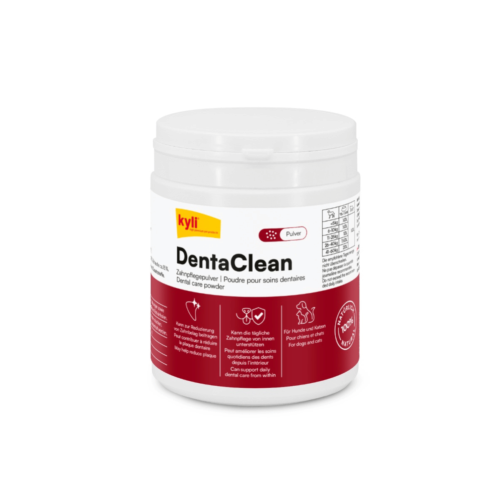 DentaClean