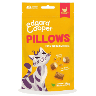 Pillows au dinde