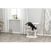 Isabella cat scratcher