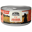 Cat Wet Premium Pâté Salmon & Chicken
