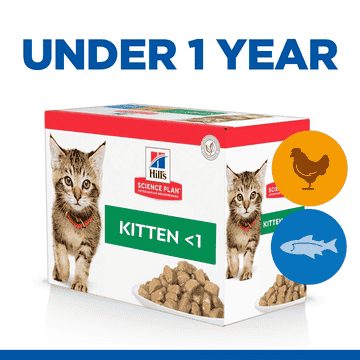 Kitten Favorite Selection - Fresh pouches