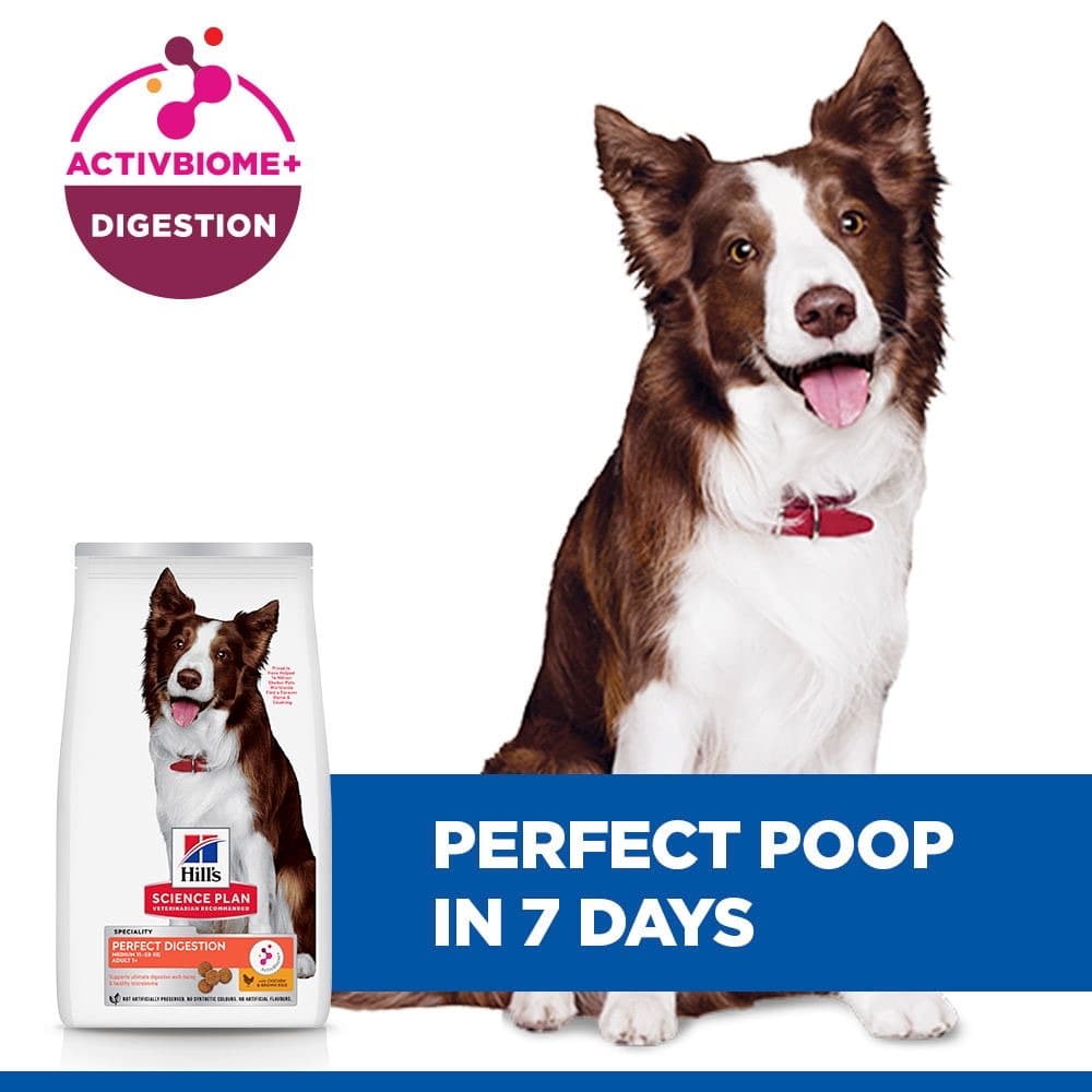 Canine Perfect Digestion Medium Breed