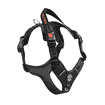 Harness Harmonia Black
