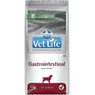 Canine Gastrointestinal