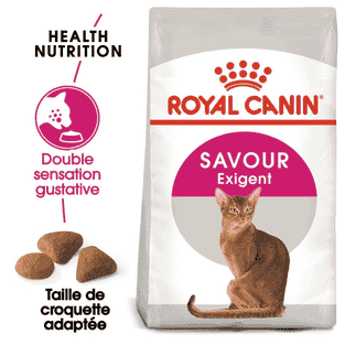 Savour Exigent