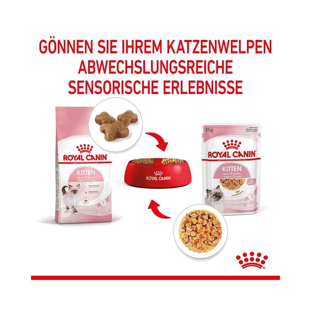 Kitten in Gelée - Frischebeutel