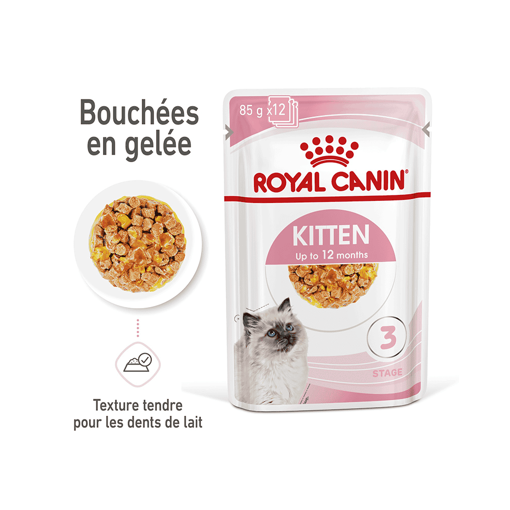 Kitten en gelée - sachet