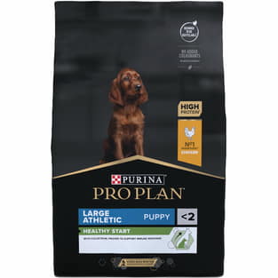 LARGE ATHLETIC PUPPY Healthy Start