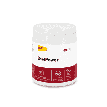 BeefPower