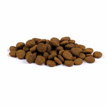 Dog Senior/Healthy Weight True Fresh - Frisches Huhn