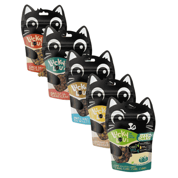 Lucky Ones Cubes