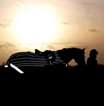 Riding rug Amigo Reflectech Comp Sheet