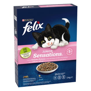Junior Sensations