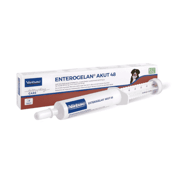 Enterogelan Akut