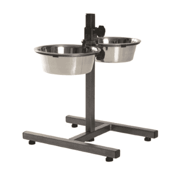 Bar pour chiens