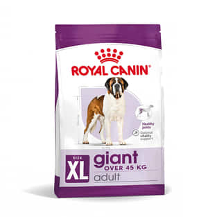 Giant Adult