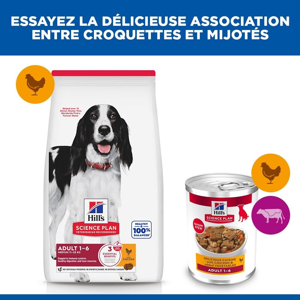 Canine Adult 1-6 Delicious Cuisine with chicken & added vegetables boîte