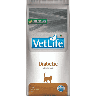Feline Diabetic