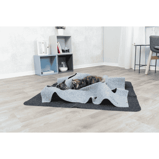 Cat Activity Adventure Carpet