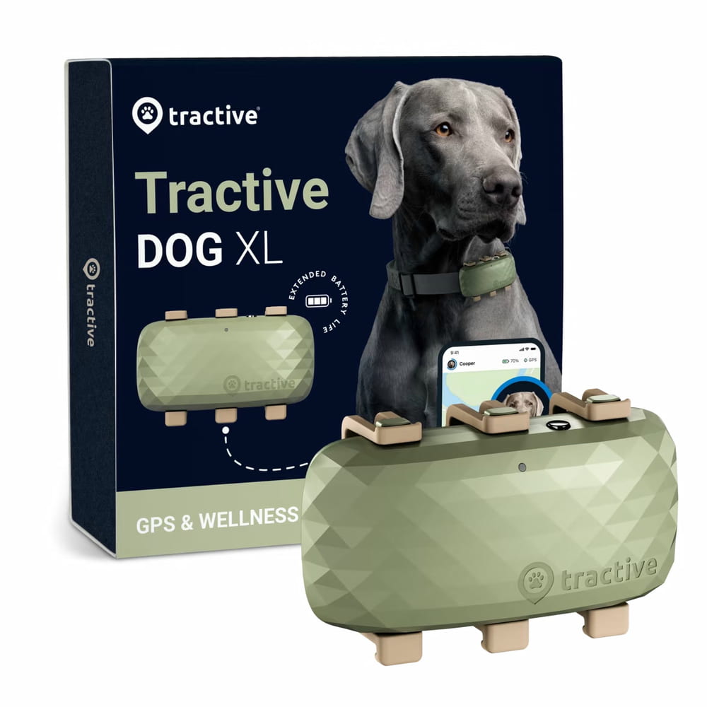 GPS Tracker pour chiens XL
