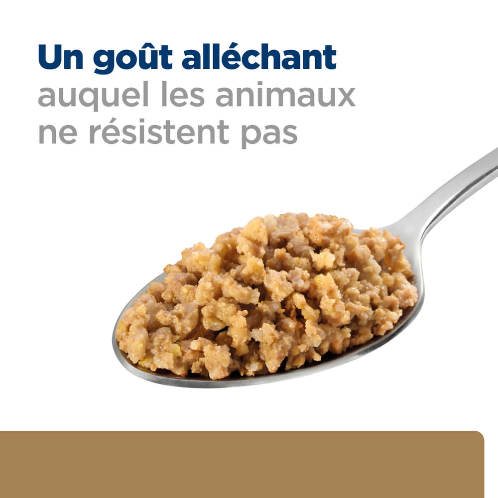 Canine j/d Mobility - en boîte