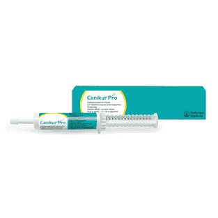 Canikur Pro Paste