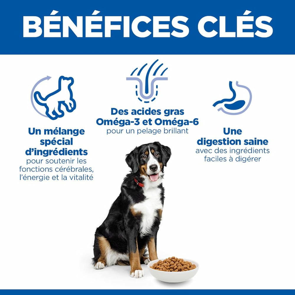 Canine Senior Vitality 6+ Large Breed