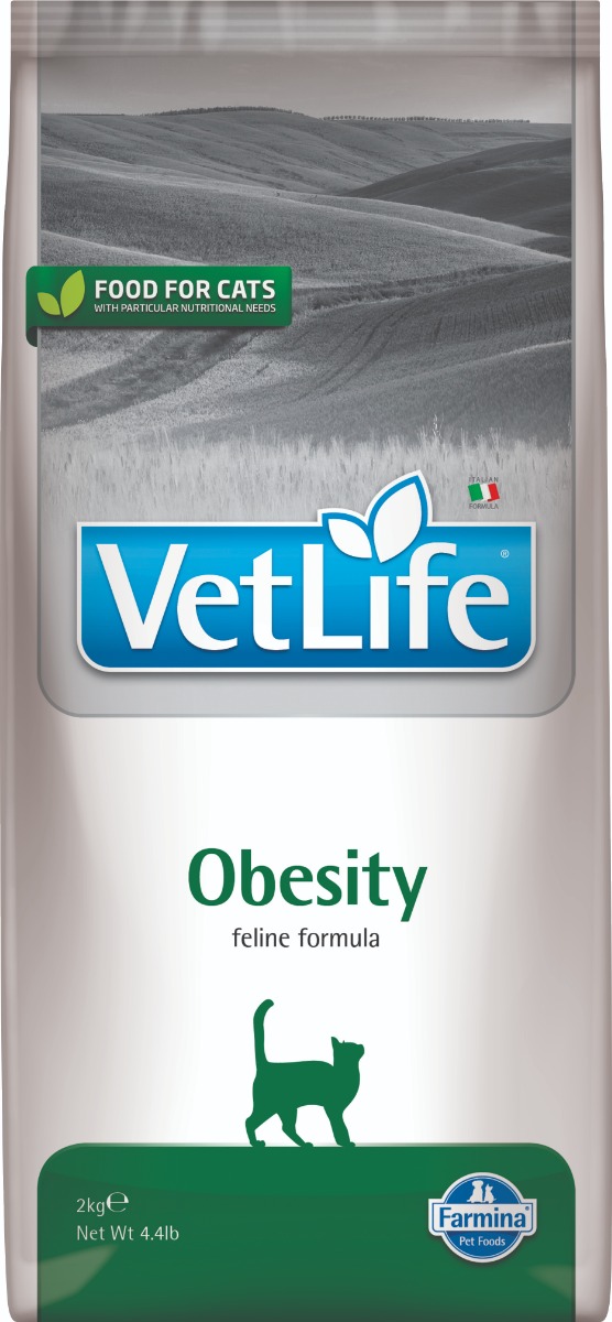 Feline Obesity