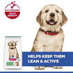 Puppy Large Breed