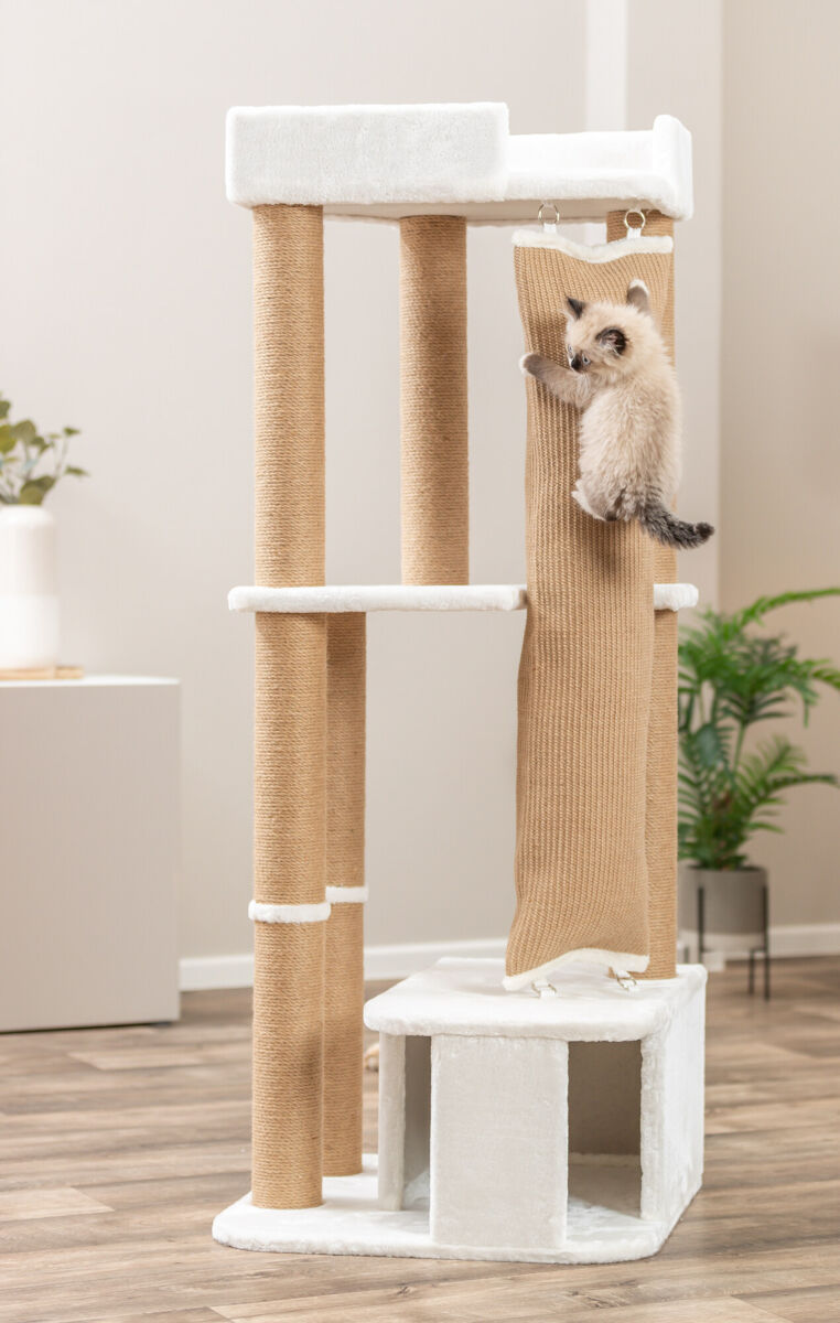 Arbre à chat Active