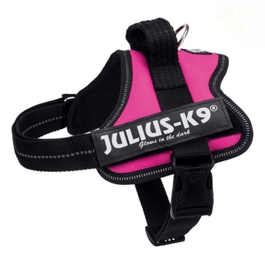 Harnais PowerJulius-K9, Mini/M