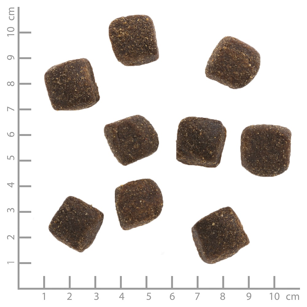 Wide Plain Squashies Large Breed