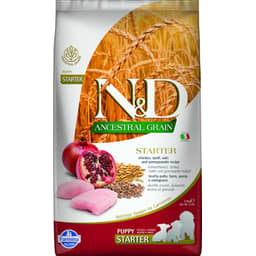 Canine Puppy Starter Huhn Granatapfel